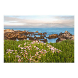 沿岸春 フォトプリント           