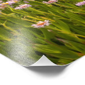 沿岸春 フォトプリント            (角)