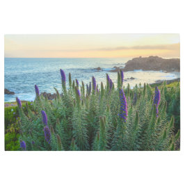 沿岸春 メタルプリント