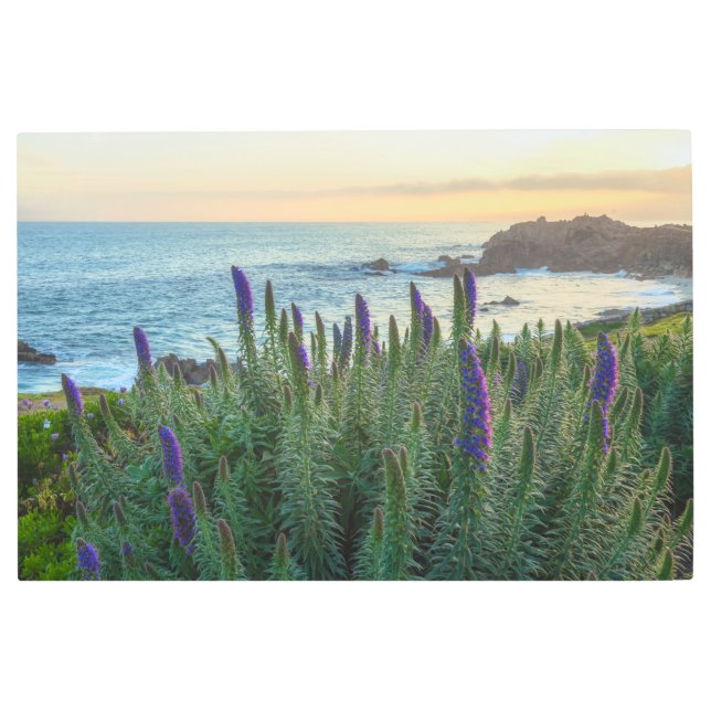 沿岸春 メタルプリント (正面)