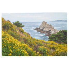 沿岸春 メタルプリント