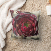 沿岸植物写真赤ブルゴーニュ多肉植物 クッション (ブランケット)