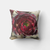 沿岸植物写真赤ブルゴーニュ多肉植物 クッション (正面)