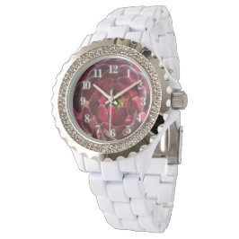 沿岸植物写真赤ブルゴーニュ多肉植物 腕時計