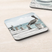 沿岸海ペリカン コースター (左側)