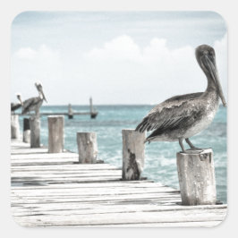 沿岸海ペリカン スクエアシール