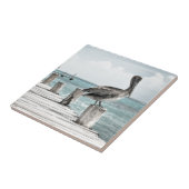 沿岸海ペリカン タイル (側面)