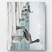 沿岸海ペリカン フォトプラーク (正面)