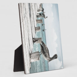 沿岸海ペリカン フォトプラーク