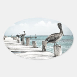 沿岸海ペリカン 楕円形シール