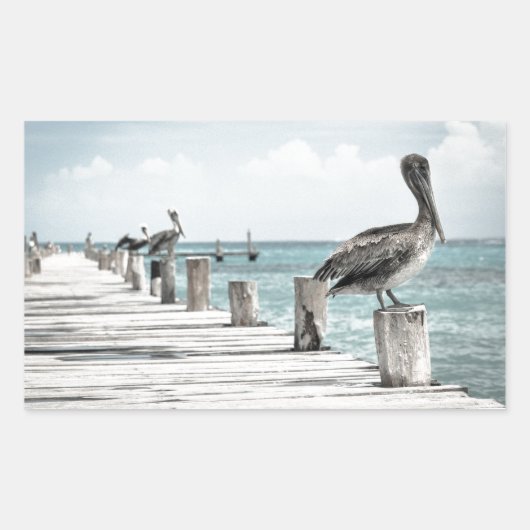 沿岸海ペリカン 長方形シール (正面)