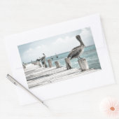 沿岸海ペリカン 長方形シール (封筒)