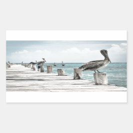 沿岸海ペリカン 長方形シール