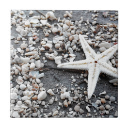 沿岸海海殻パターン タイル