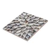 沿岸海海殻パターン タイル (側面)