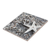 沿岸海海殻パターン タイル (側面)