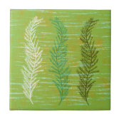 沿岸海藻 タイル (正面)