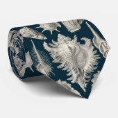 沿岸海軍ブルーとホワイトシーシェル海 ネクタイ (ロール)