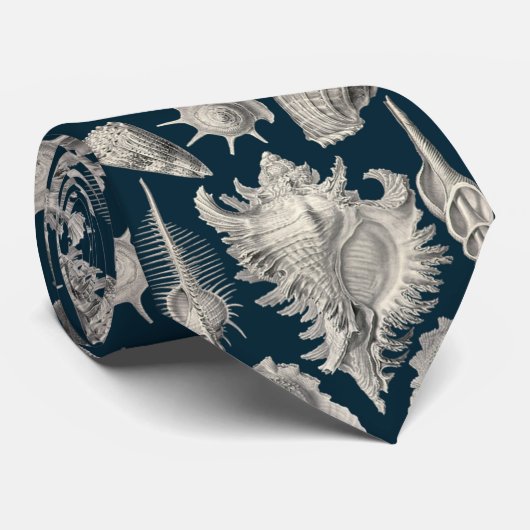 沿岸海軍ブルーとホワイトシーシェル海 ネクタイ (ロール)