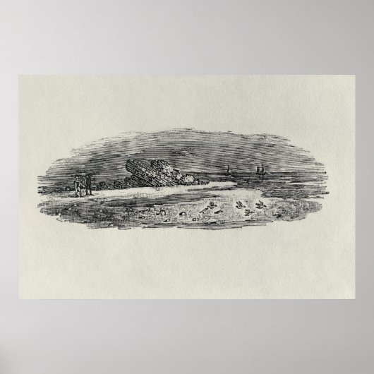 沿岸海運の岩々 ポスター (正面)