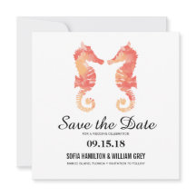 沿岸海馬の水色 |日付の保存