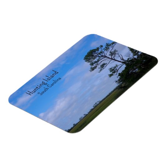 沿岸湿地 マグネット (左側)