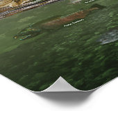 沿岸熱帯雨林ポスター ポスター (角)