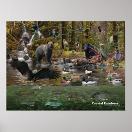 沿岸熱帯雨林ポスター ポスター