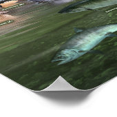 沿岸熱帯雨林iD ポスター (角)