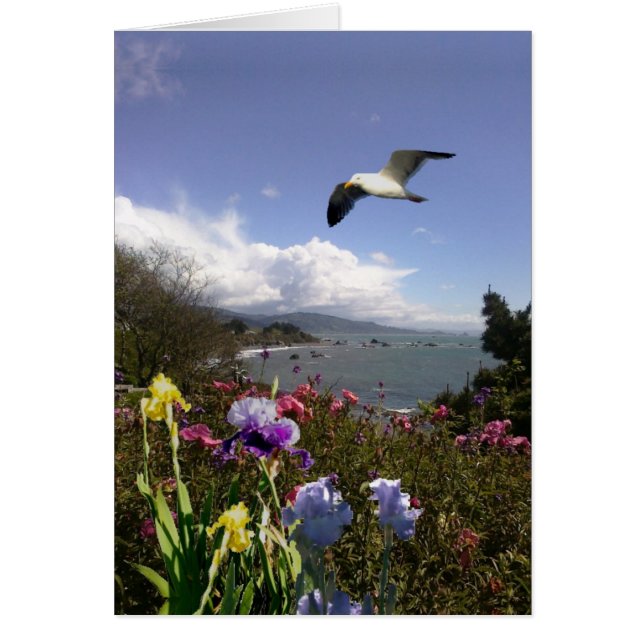 沿岸生活 (正面)