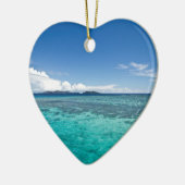 沿岸礁、フィージー セラミックオーナメント (左)