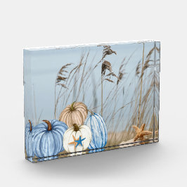 沿岸秋ブルーとホワイトカボチャとヒトデ フォトブロック