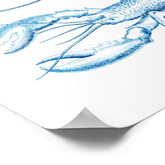 沿岸芸術青甲殻類第6デコ航海のール ポスター (角)