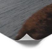 沿岸警備隊MH-60ジェイホークヘリコプター ポスター (角)