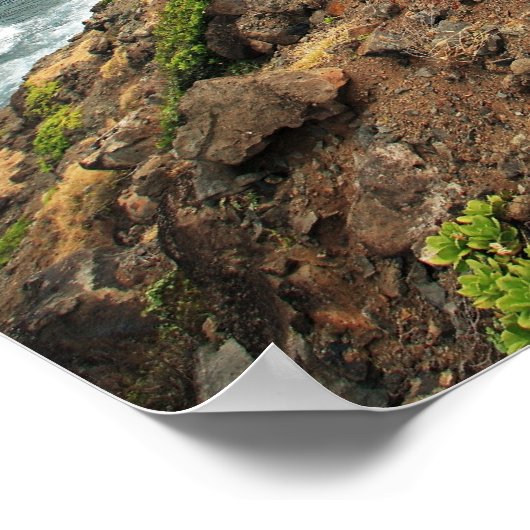 沿岸道路 ポスター (角)