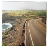 沿岸道 タイル (正面)