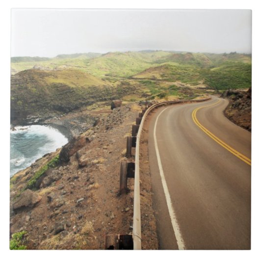 沿岸道 タイル (正面)