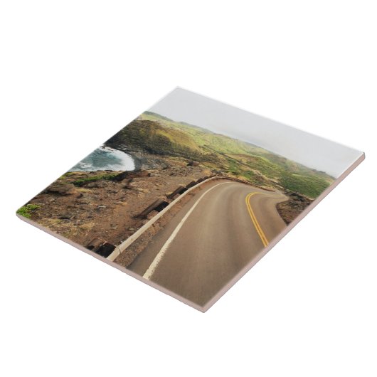 沿岸道 タイル (側面)