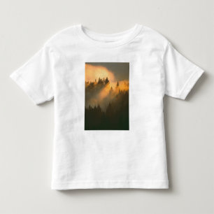 沿岸部の霧に包まれたレッドウッドの木々、マリン郡、 トドラーTシャツ