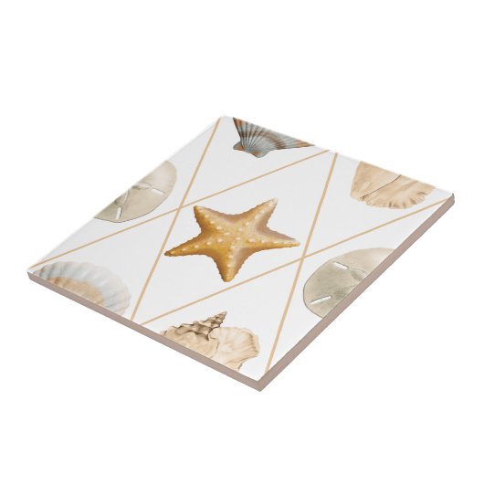 沿岸魚と貝殻 タイル (側面)