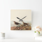 沿岸鳥時計 スクエア壁時計 (ホーム)