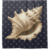 沿岸/ビーチ/航海の貝殻 シャワーカーテン (正面)