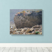 沿岸,ロッキービーチ,大きい石,海岸ユニーク, キャンバスプリント (インサイチュ (ウッドフロア))