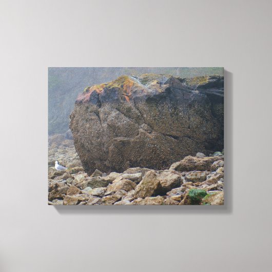 沿岸,ロッキービーチ,大きい石,海岸ユニーク, キャンバスプリント (正面)