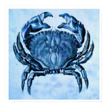 沿岸 – ヴィンテージブルーカニプリント