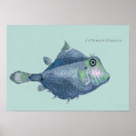 沿岸 – ヴィンテージ熱帯魚 ポスター