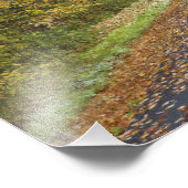 沿道秋の葉，南バーモント，アメリカ フォトプリント            (角)