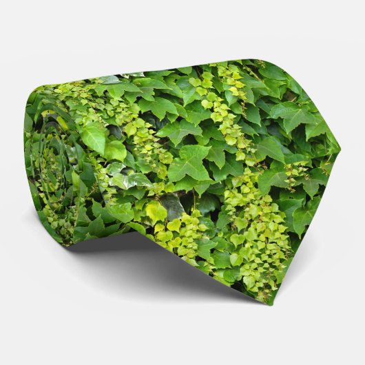 沿面の日本の背景 ネクタイ (ロール)