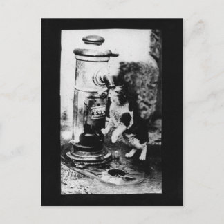 泉でさわやかな猫 ポストカード