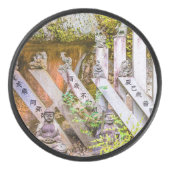 泉光寺仏像 アイスホッケーパック (正面)